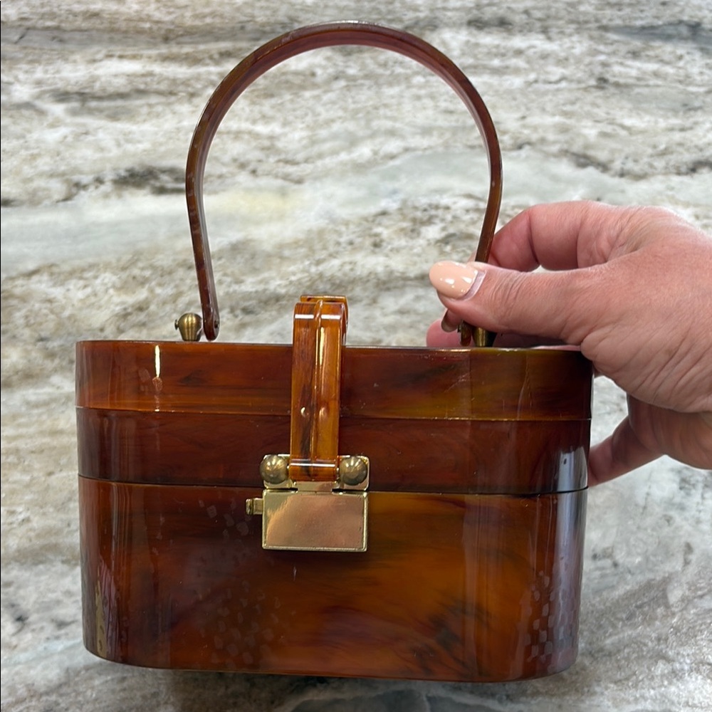 Ascot Lucite Tortoise Purse